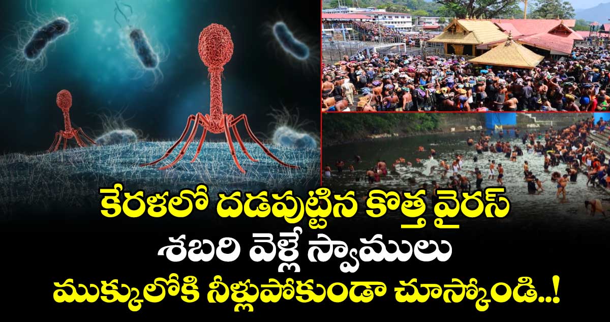 కేరళలో దడపుట్టిన కొత్త వైరస్: శబరి వెళ్లే స్వాములు ముక్కులోకి నీళ్లుపోకుండా చూస్కోండి..!