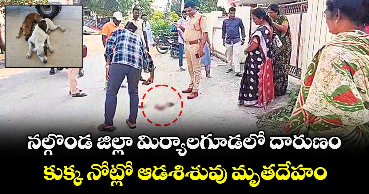 నల్గొండ జిల్లా మిర్యాలగూడలో దారుణం.. కుక్క నోట్లో  ఆడశిశువు మృతదేహం 