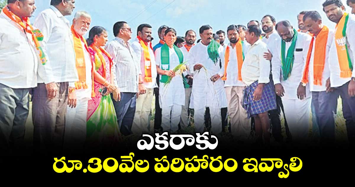 ఎకరాకు రూ.30వేల పరిహారం ఇవ్వాలి : ఎమ్మెల్యే మహేశ్వర్రెడ్డి