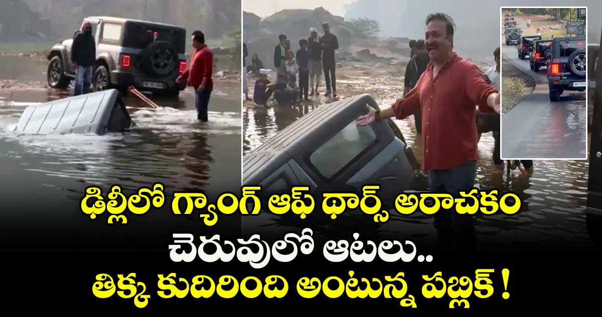 ఢిల్లీలో గ్యాంగ్ ఆఫ్ థార్స్ అరాచకం.. చెరువులో ఆటలు.. తిక్క కుదిరింది అంటున్న పబ్లిక్ ! 