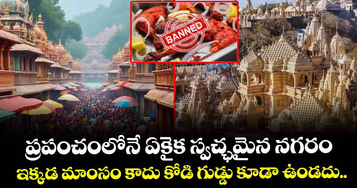  ప్రపంచంలోనే ఏకైక స్వచ్ఛమైన నగరం: ఇక్కడ మాంసం కాదు కోడి గుడ్డు కూడా ఉండదు..