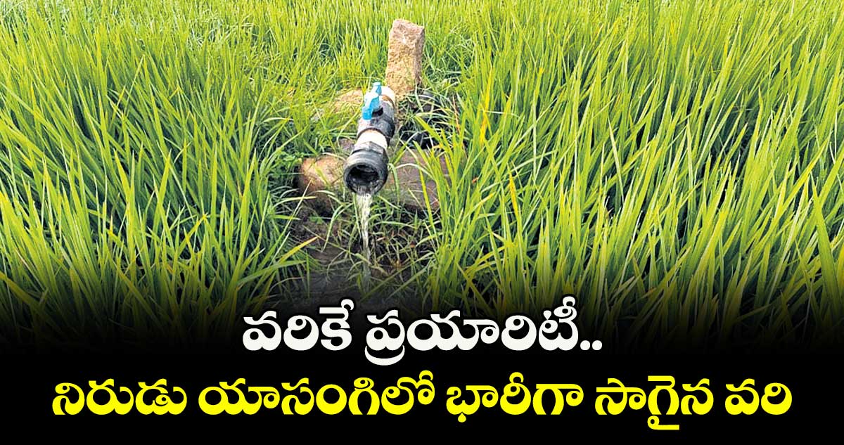  వరికే ప్రయారిటీ.. నిరుడు యాసంగిలో భారీగా సాగైన వరి