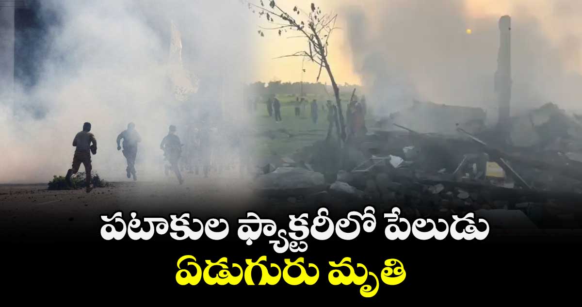 పటాకుల ఫ్యాక్టరీలో పేలుడు... ఏడుగురు మృతి
