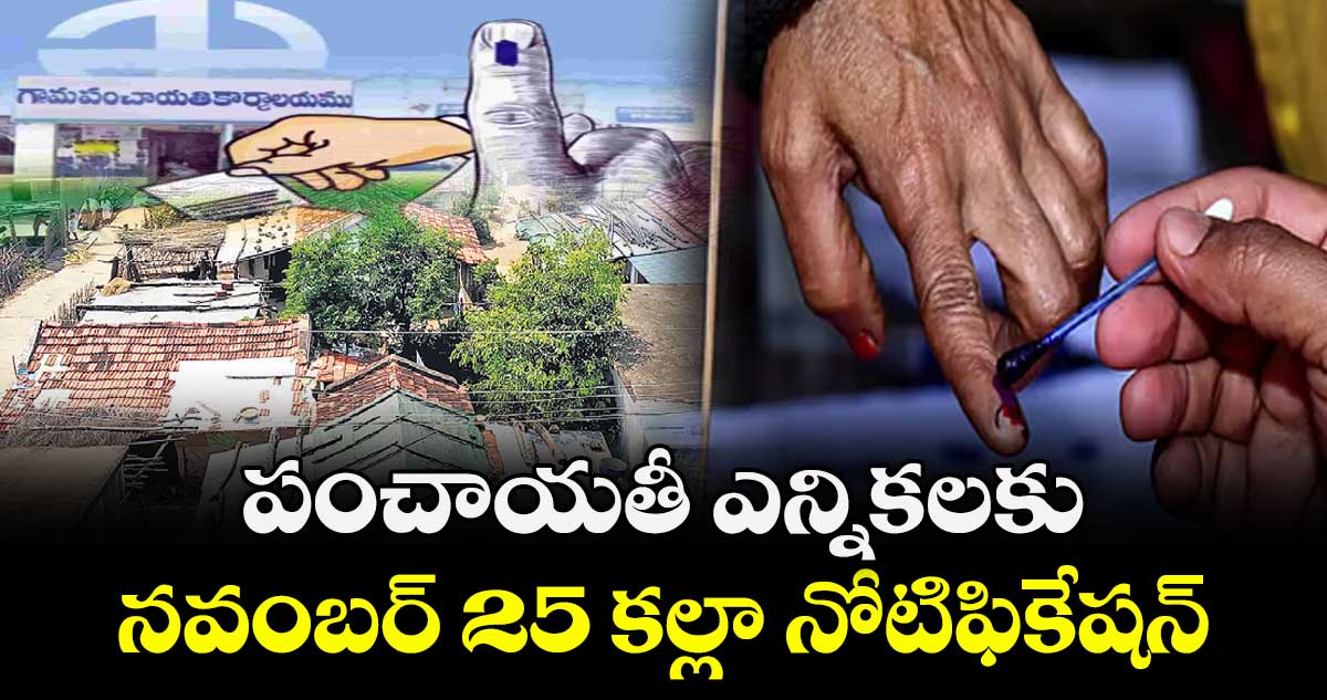  పంచాయతీ ఎన్నికలకు.. నవంబర్ 25 కల్లా నోటిఫికేషన్‌