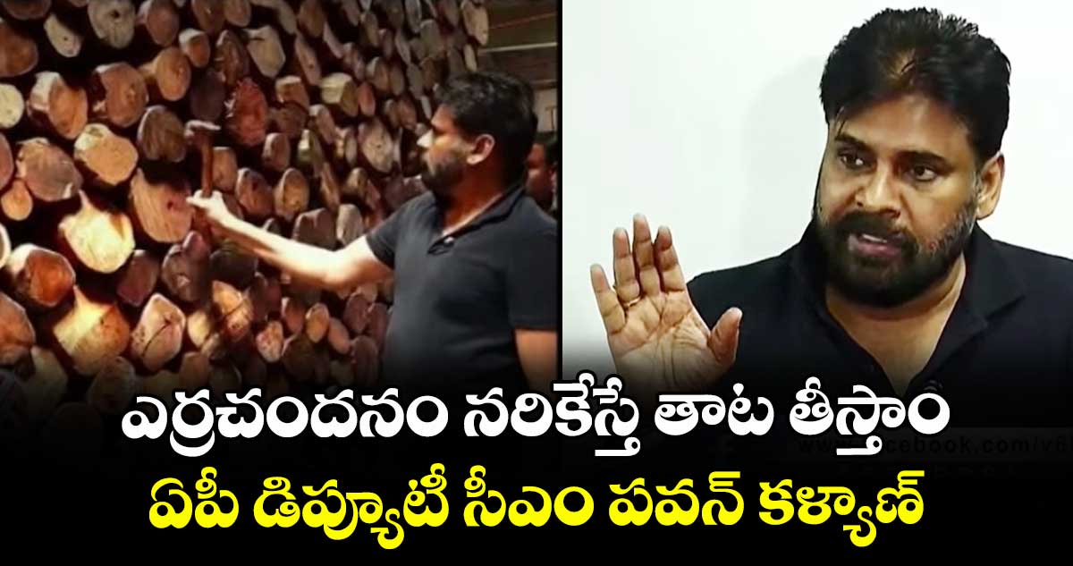 ఎర్రచందనం నరికేస్తే తాట తీస్తాం.. ఏపీ డిప్యూటీ సీఎం పవన్ కళ్యాణ్