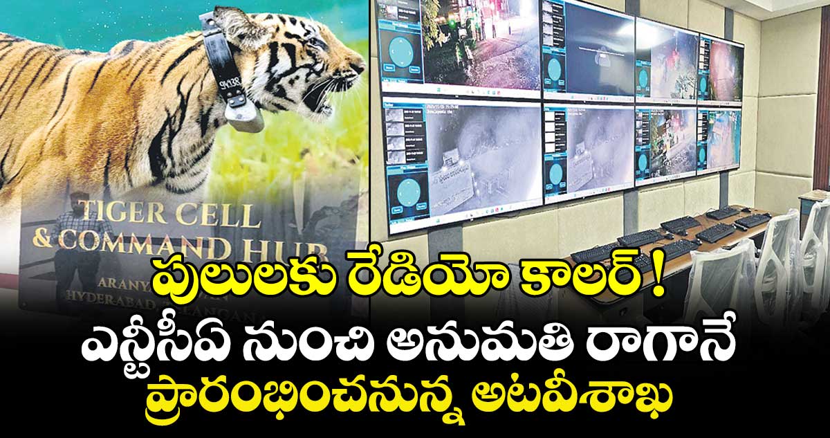 పులులకు రేడియో కాలర్‌‌‌‌ !..ఎన్టీసీఏ నుంచి అనుమతి రాగానే ప్రారంభించనున్న అటవీశాఖ