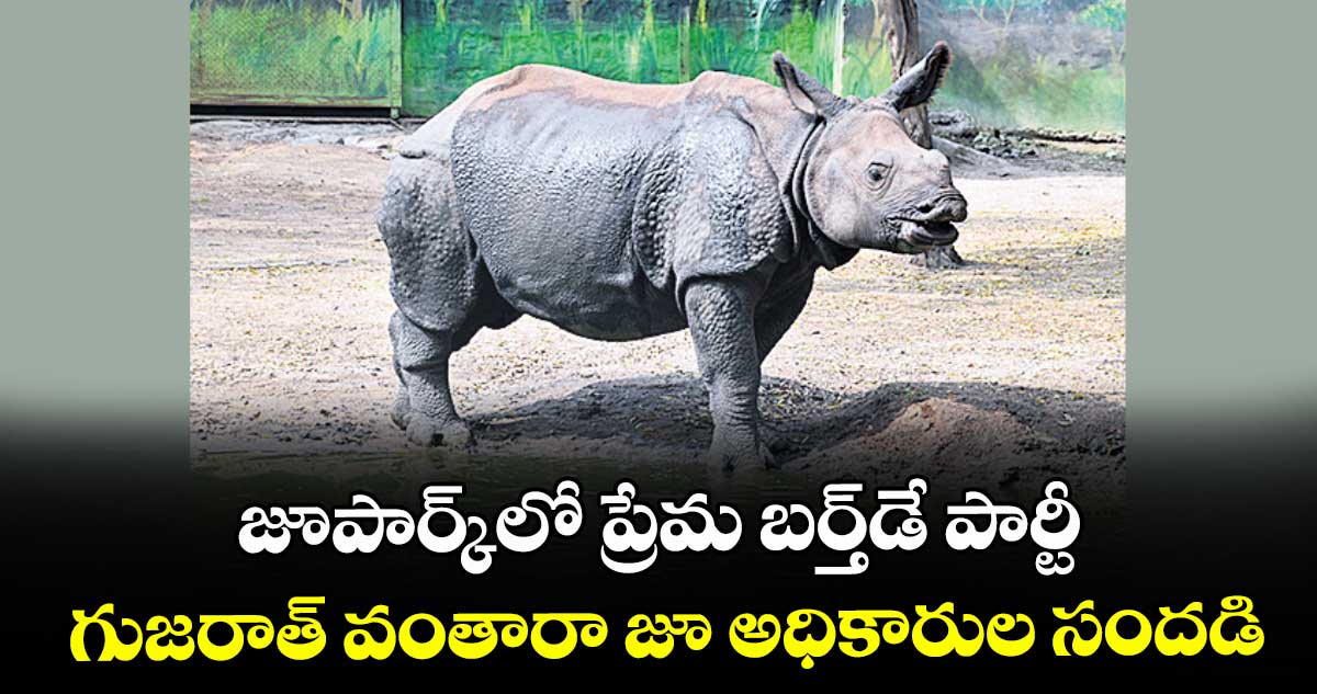 జూపార్క్‌‌లో ప్రేమ బర్త్‌‌డే పార్టీ..గుజరాత్ వంతారా జూ అధికారుల సందడి