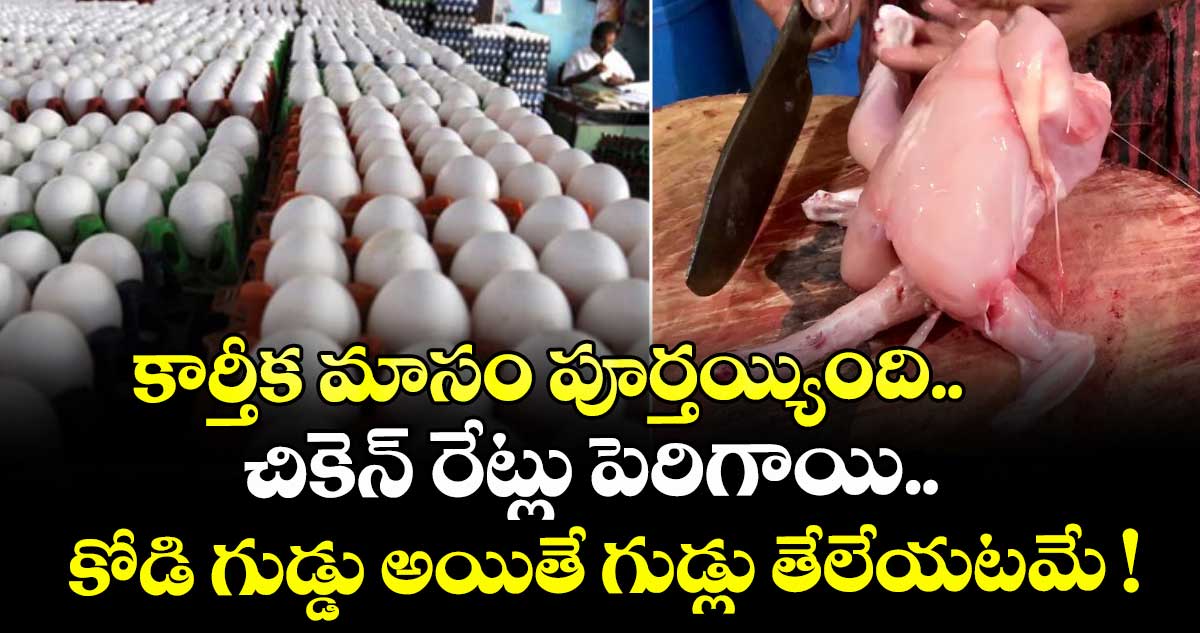 కార్తీక మాసం పూర్తయ్యింది.. చికెన్ రేట్లు పెరిగాయి.. కోడి గుడ్డు అయితే గుడ్లు తేలేయటమే !