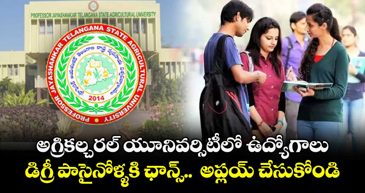అగ్రికల్చరల్ యూనివర్సిటీలో ఉద్యోగాలు.. డిగ్రీ పాసైనోళ్ళకి ఛాన్స్..  అప్లయ్ చేసుకోండి.. 