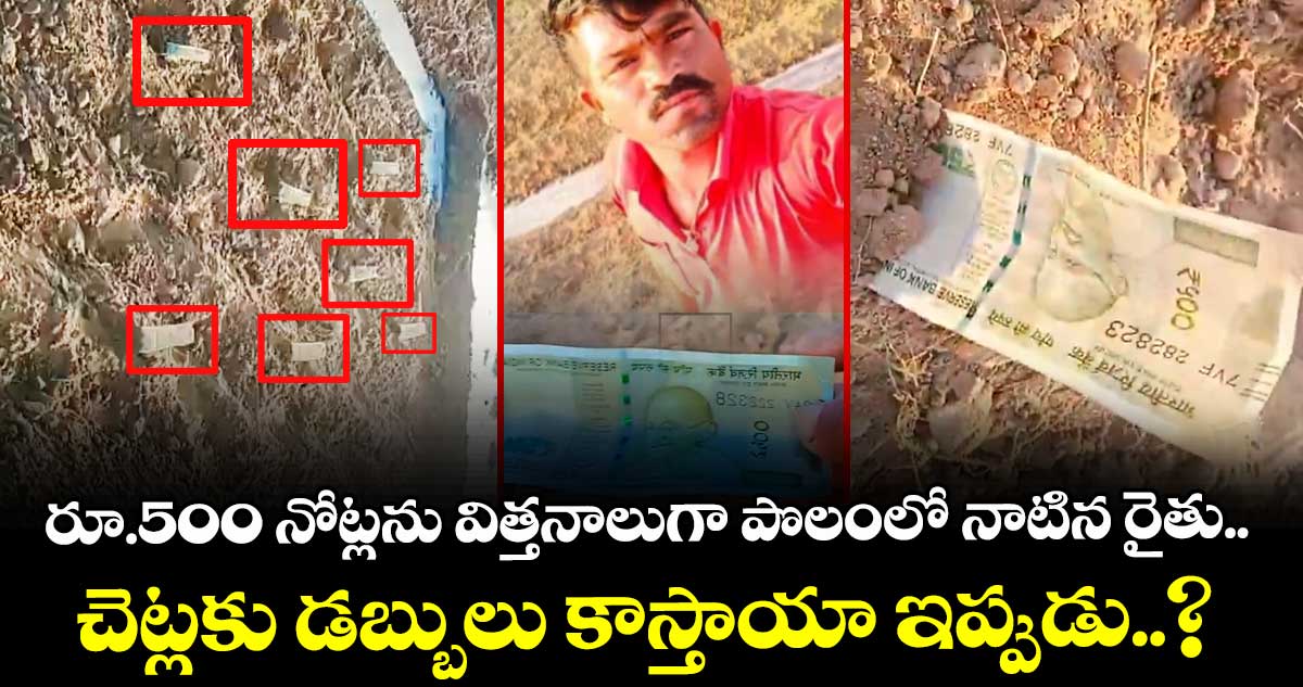 రూ.500 నోట్లను విత్తనాలుగా పొలంలో నాటిన రైతు.. చెట్లకు డబ్బులు కాస్తాయా ఇప్పుడు..?