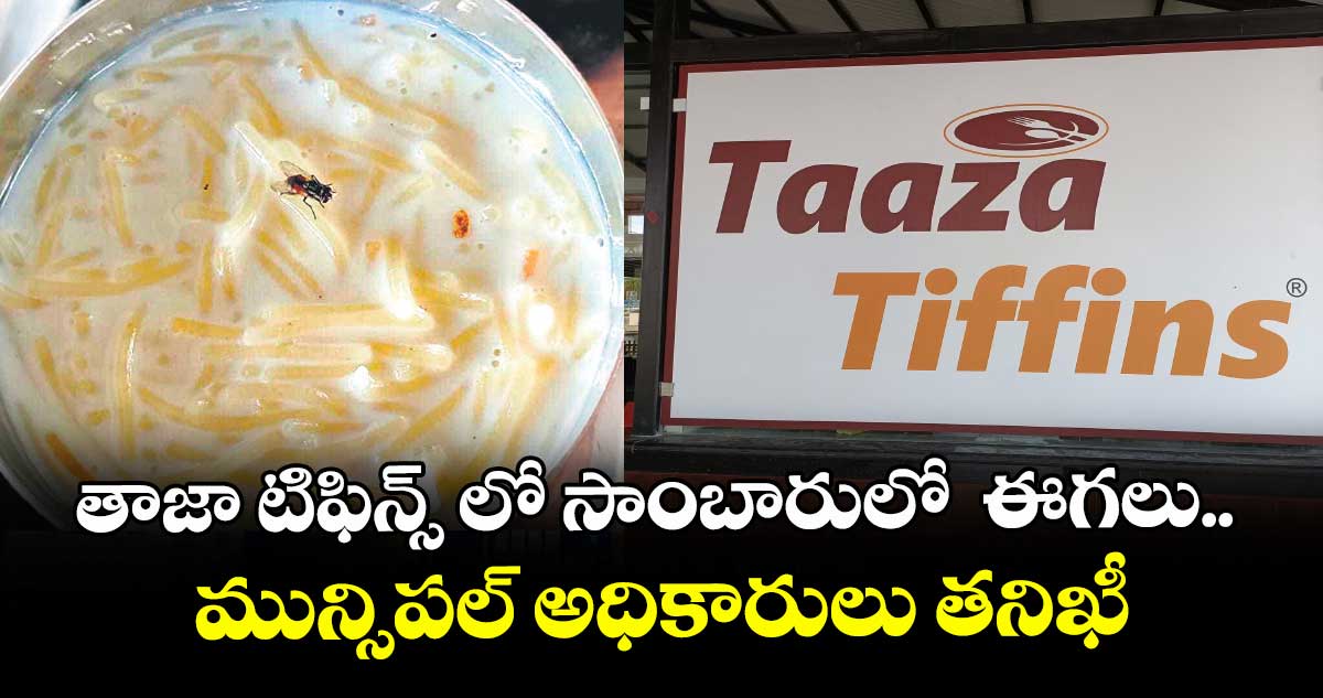 తాజా టిఫిన్స్ లో సాంబారులో  ఈగలు.. మున్సిపల్ అధికారులు తనిఖీ