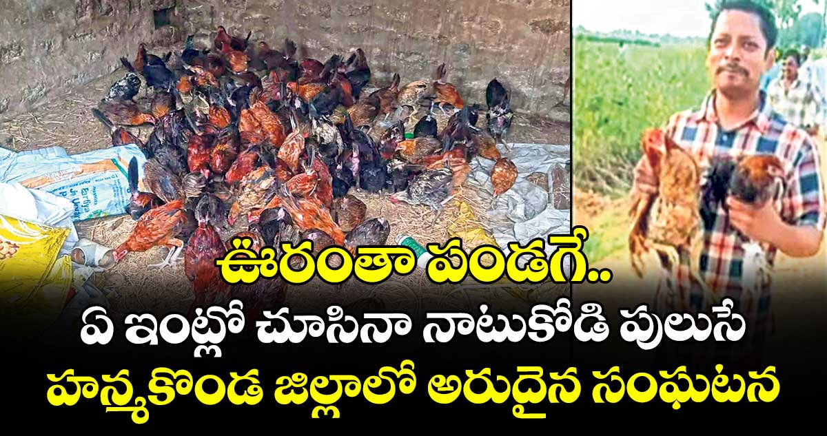ఊరంతా పండగే.. ఏ ఇంట్లో చూసినా నాటుకోడి పులుసే.. హన్మకొండ జిల్లాలో అరుదైన సంఘటన 