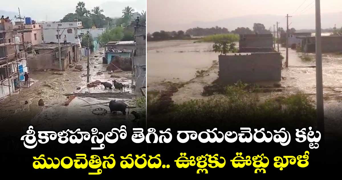 శ్రీకాళహస్తిలో తెగిన రాయలచెరువు కట్ట.. ముంచెత్తిన వరద.. ఊళ్లకు ఊళ్లు ఖాళీ.. 