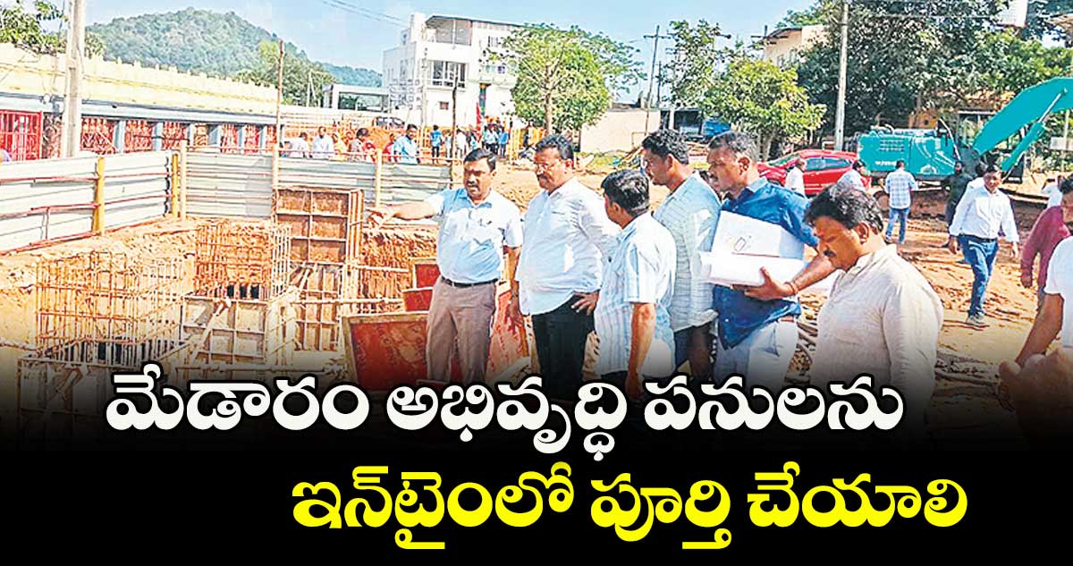 మేడారం అభివృద్ధి పనులను ఇన్‌టైంలో పూర్తి చేయాలి :  మోహన్‌ నాయక్‌