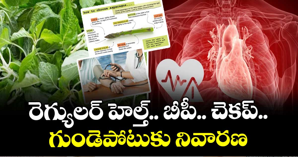 Health Tips:  రెగ్యులర్  హెల్త్.. బీపీ..  చెకప్.. గుండెపోటుకు నివారణ
