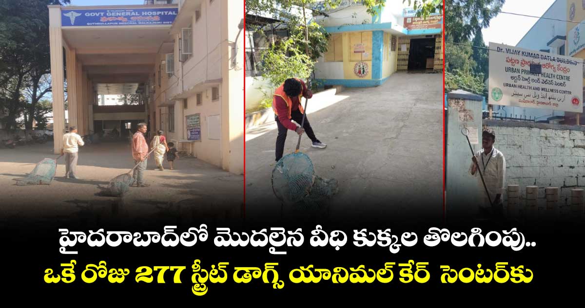 హైదరాబాద్⁭లో మొదలైన వీధి కుక్కల తొలగింపు.. ఒకే రోజు 277 స్ట్రీట్ డాగ్స్ యానిమల్ కేర్  సెంటర్⁭కు