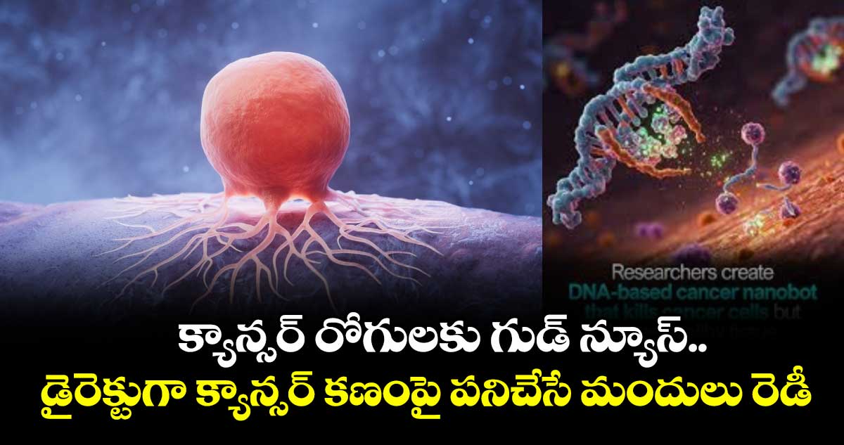 Cancer treatment: క్యాన్సర్ రోగులకు గుడ్ న్యూస్.. డైరెక్టుగా క్యాన్సర్ కణంపై పనిచేసే మందులు రెడీ