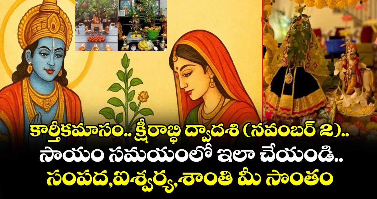 కార్తీకమాసం.. క్షీరాబ్ధి ద్వాదశి (నవంబర్ 2) .. సాయం సమయంలో ఇలా చేయండి..సంపద, ఐశ్వర్య, శాంతి మీ సొంతం