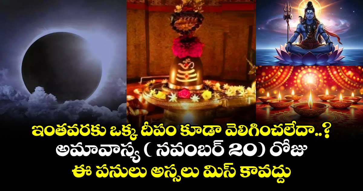 Karthika Masam 2025:  ఇంతవరకు ఒక్క దీపం కూడా వెలిగించలేదా..? అమావాస్య ( నవంబర్ 20) రోజు ఈ పనులు అస్సలు మిస్ కావద్దు