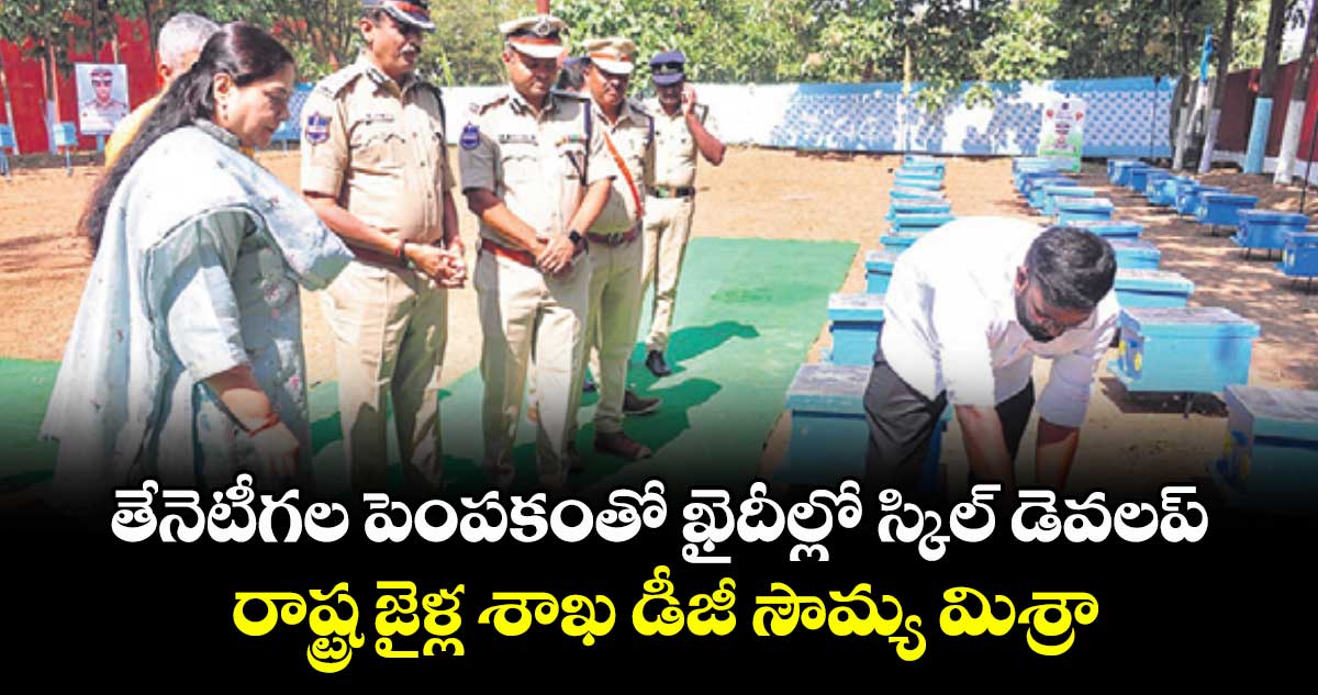 తేనెటీగల పెంపకంతో ఖైదీల్లో స్కిల్ డెవలప్.. రాష్ట్ర జైళ్ల శాఖ డీజీ సౌమ్య మిశ్రా