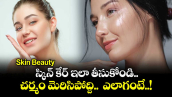 Skin Beauty:   స్కిన్ కేర్ ఇలా తీసుకోండి... చర్మం మెరిసిపోద్ది..  ఎలాగంటే..!