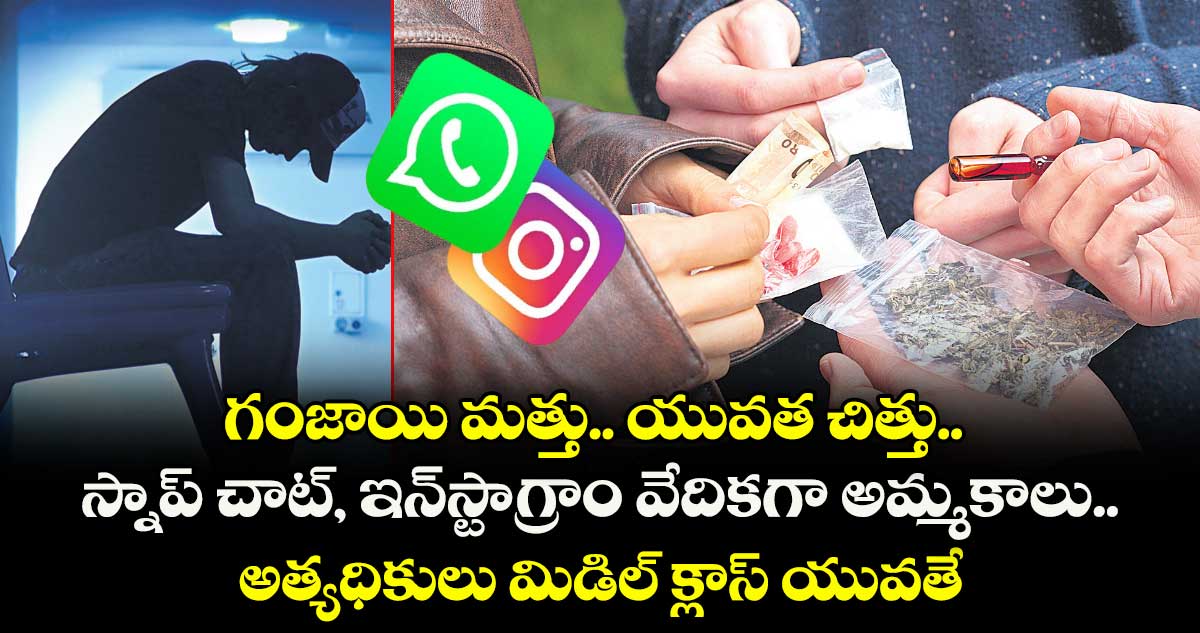 గంజాయి మత్తు.. యువత చిత్తు.. స్నాప్ చాట్, ఇన్‌‌‌‌‌‌‌‌‌‌‌‌‌‌‌‌⁭స్టాగ్రాం వేదికగా అమ్మకాలు..  అత్యధికులు మిడిల్‌‌ క్లాస్‌‌ యువతే