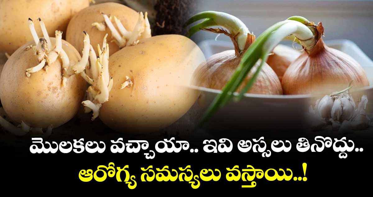 Good Health:  మొలకలు వచ్చాయా.. ఇవి అస్సలు తినొద్దు.. ఆరోగ్య సమస్యలు వస్తాయి..!