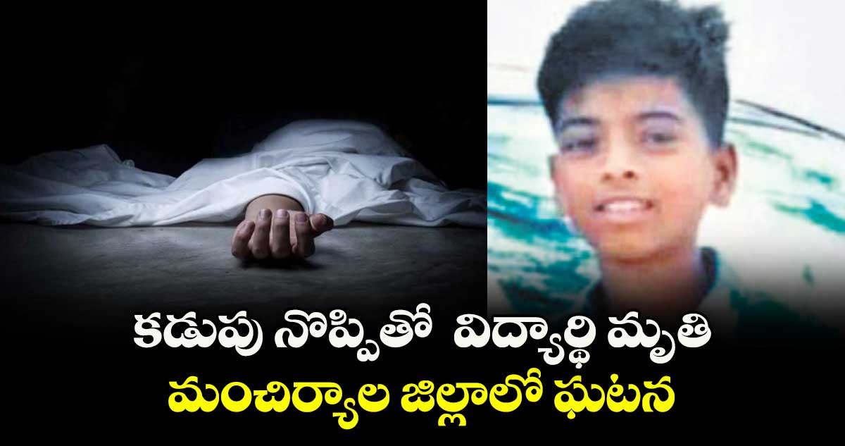 కడుపు నొప్పితో  విద్యార్థి మృతి ... మంచిర్యాల జిల్లాలో ఘటన