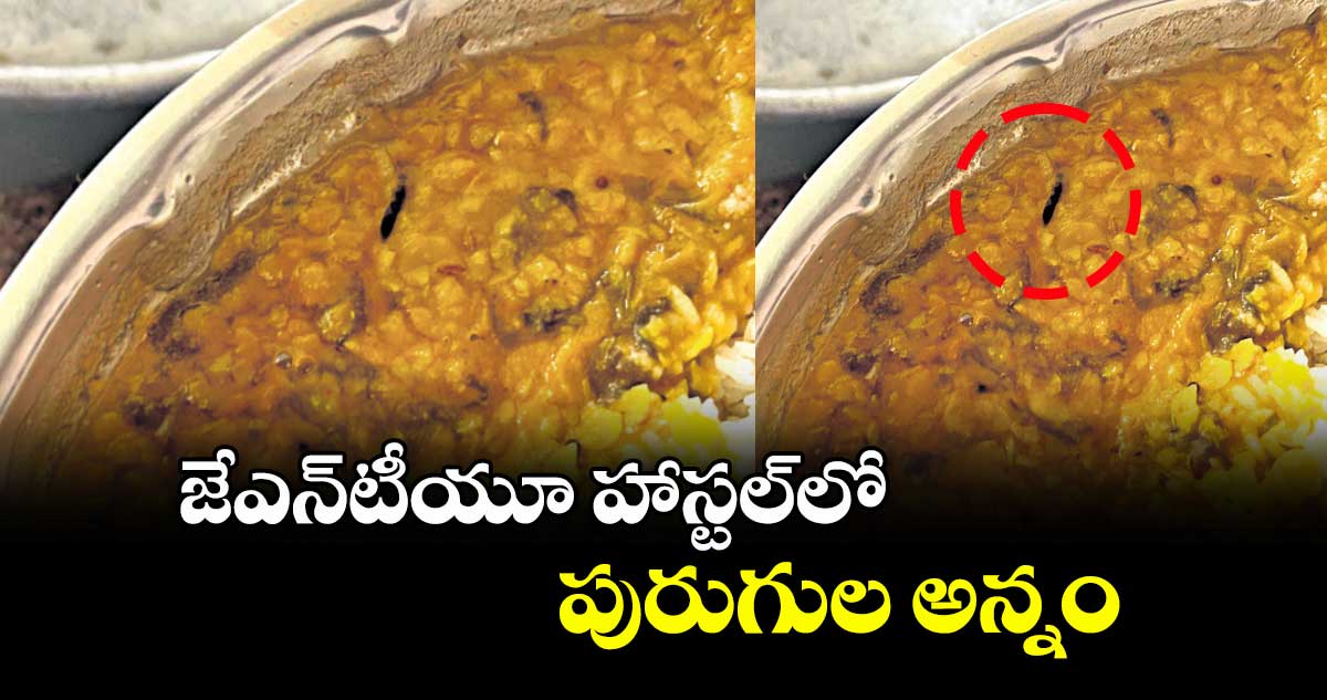 జేఎన్టీయూ హాస్టల్లో పురుగుల అన్నం