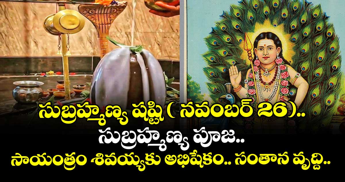 సుబ్రహ్మణ్య షష్టి ( నవంబర్ 26).. సుబ్రహ్మణ్య పూజ.. సాయంత్రం శివయ్యకు అభిషేకం.. సంతాన వృద్ది..అదృష్టం వరిస్తుంది.