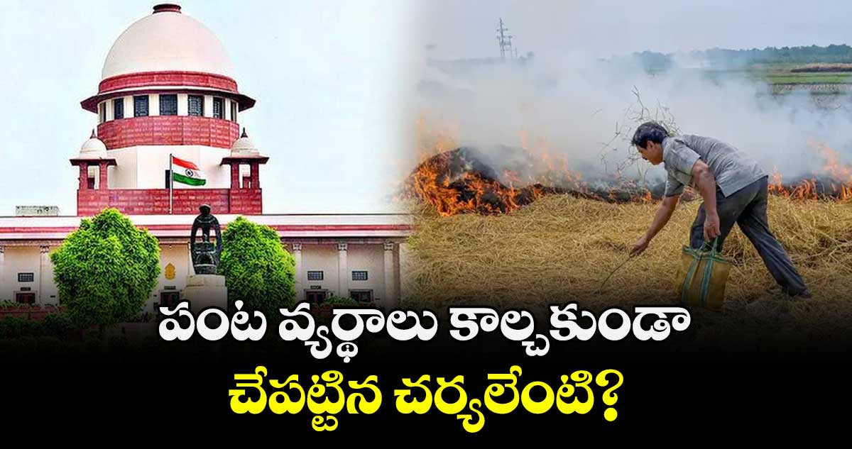 పంట వ్యర్థాలు కాల్చకుండా చేపట్టిన చర్యలేంటి?.. సుప్రీంకోర్టు 