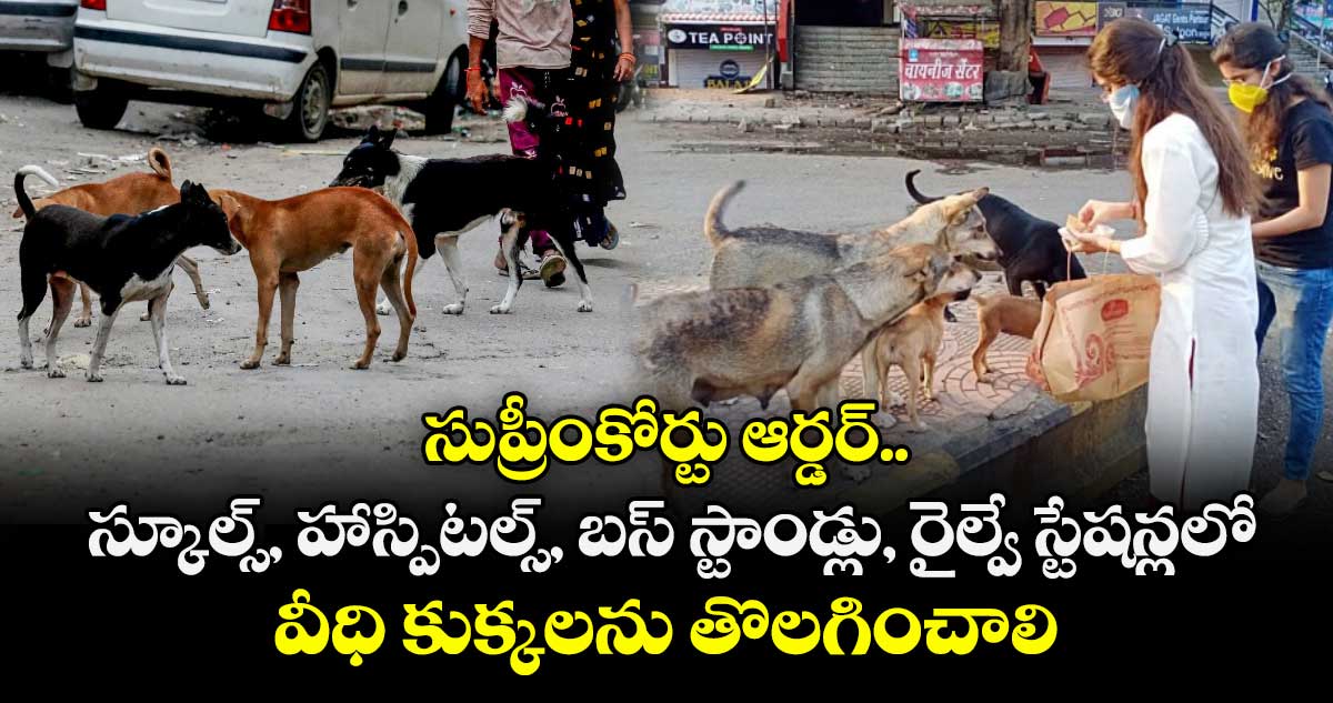స్కూల్స్, హాస్పిటల్స్, బస్ స్టాండ్లు, రైల్వే స్టేషన్లలో వీధి కుక్కలను తొలగించాలి:  సుప్రీంకోర్టు ఆర్డర్..