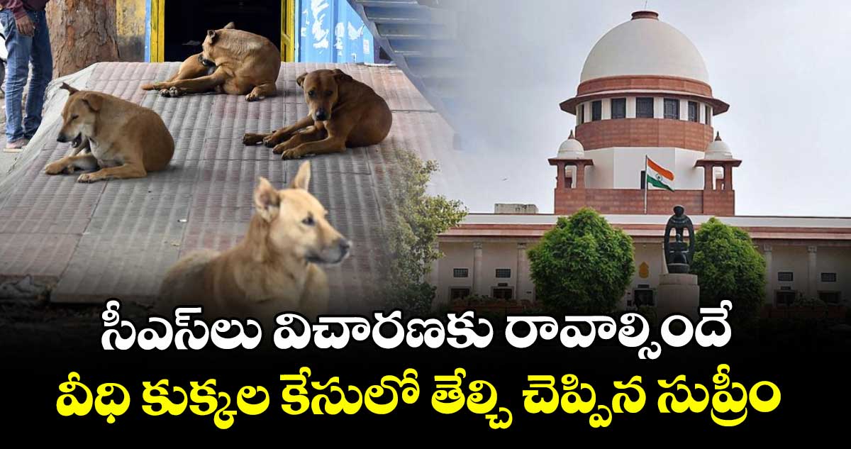 సీఎస్లు విచారణకు రావాల్సిందే ..వీధి కుక్కల కేసులో తేల్చి చెప్పిన సుప్రీం