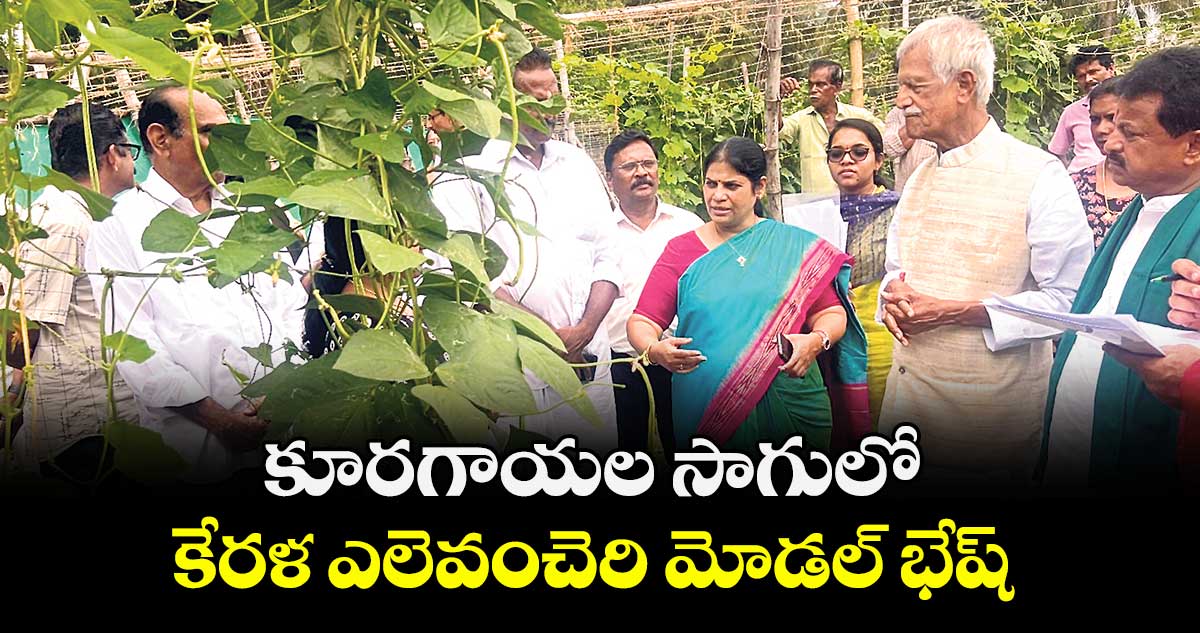 కూరగాయల సాగులో కేరళ  ఎలెవంచెరి మోడల్ భేష్ : రైతు కమిషన్