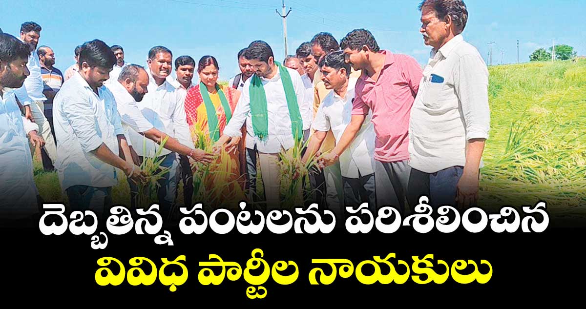 దెబ్బతిన్న పంటలను పరిశీలించిన వివిధ పార్టీల నాయకులు