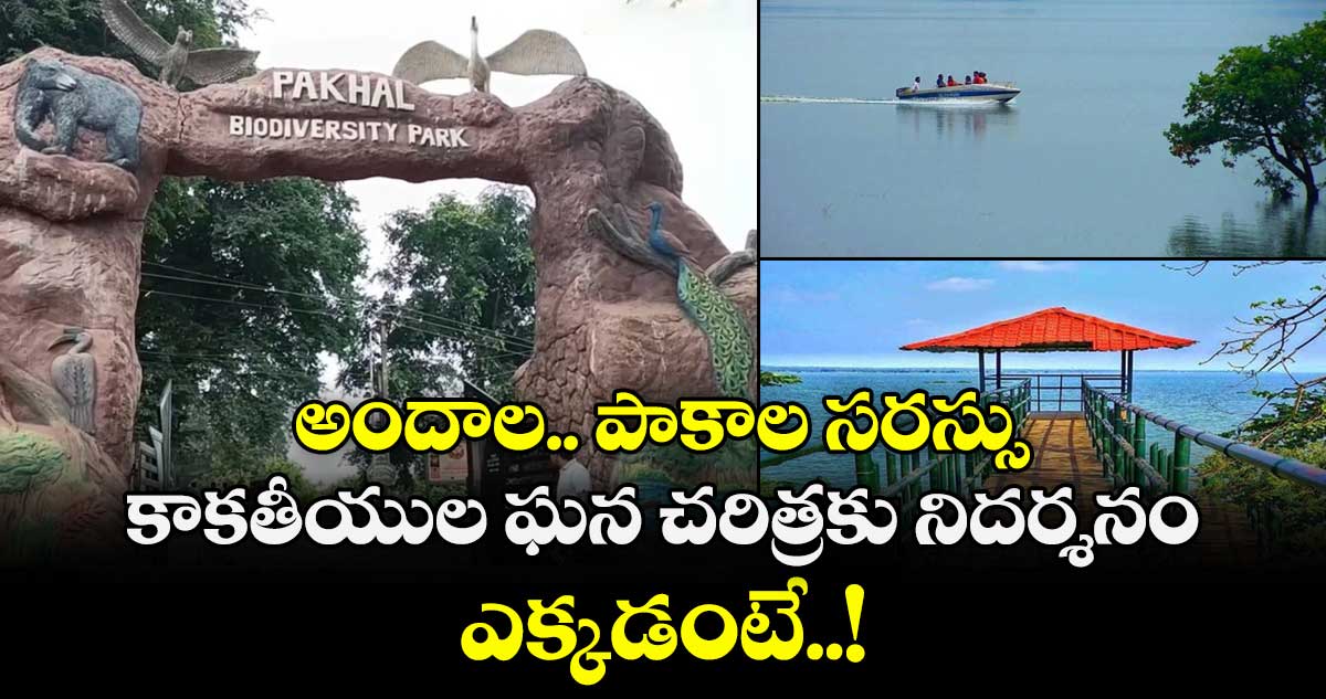 Telangana Tourism:  అందాల.. పాకాల సరస్సు.. కాకతీయుల ఘన చరిత్రకు నిదర్శనం... ఎక్కడంటే..!