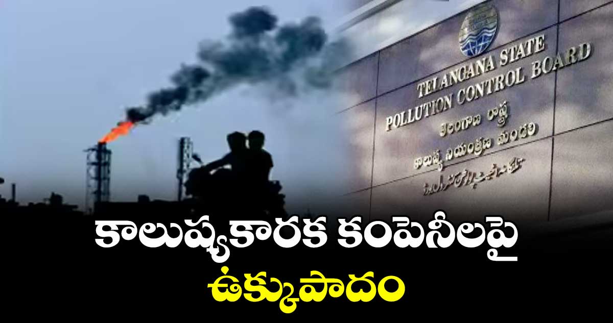 కాలుష్యకారక కంపెనీలపై ఉక్కుపాదం