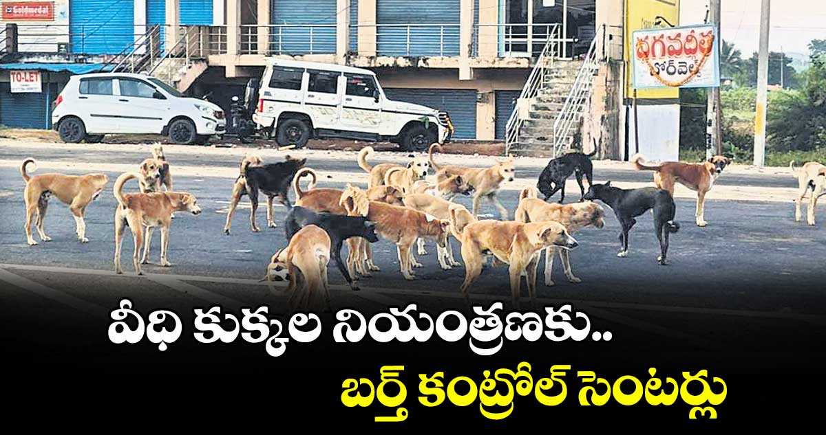 వీధి కుక్కల నియంత్రణకు..  బర్త్ కంట్రోల్ సెంటర్లు