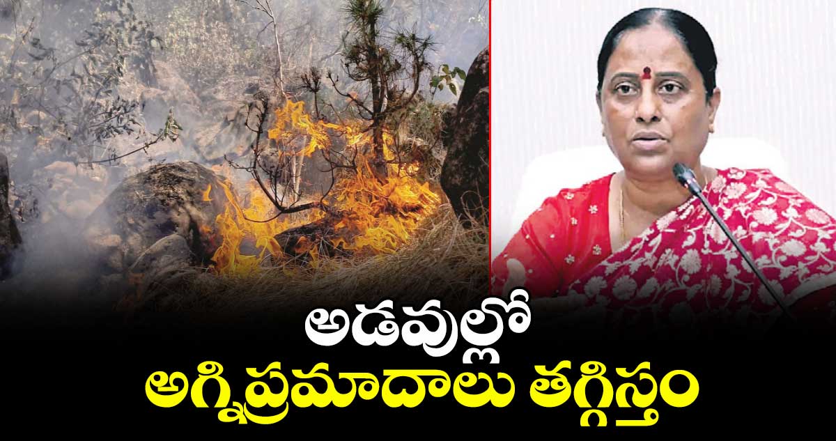 అడవుల్లో అగ్నిప్రమాదాలు తగ్గిస్తం