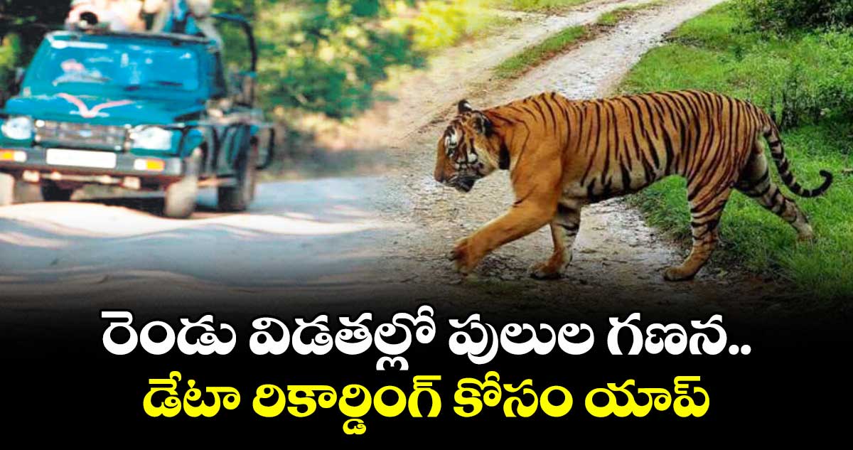 రెండు విడతల్లో పులుల గణన.. డేటా రికార్డింగ్‌ కోసం యాప్‌