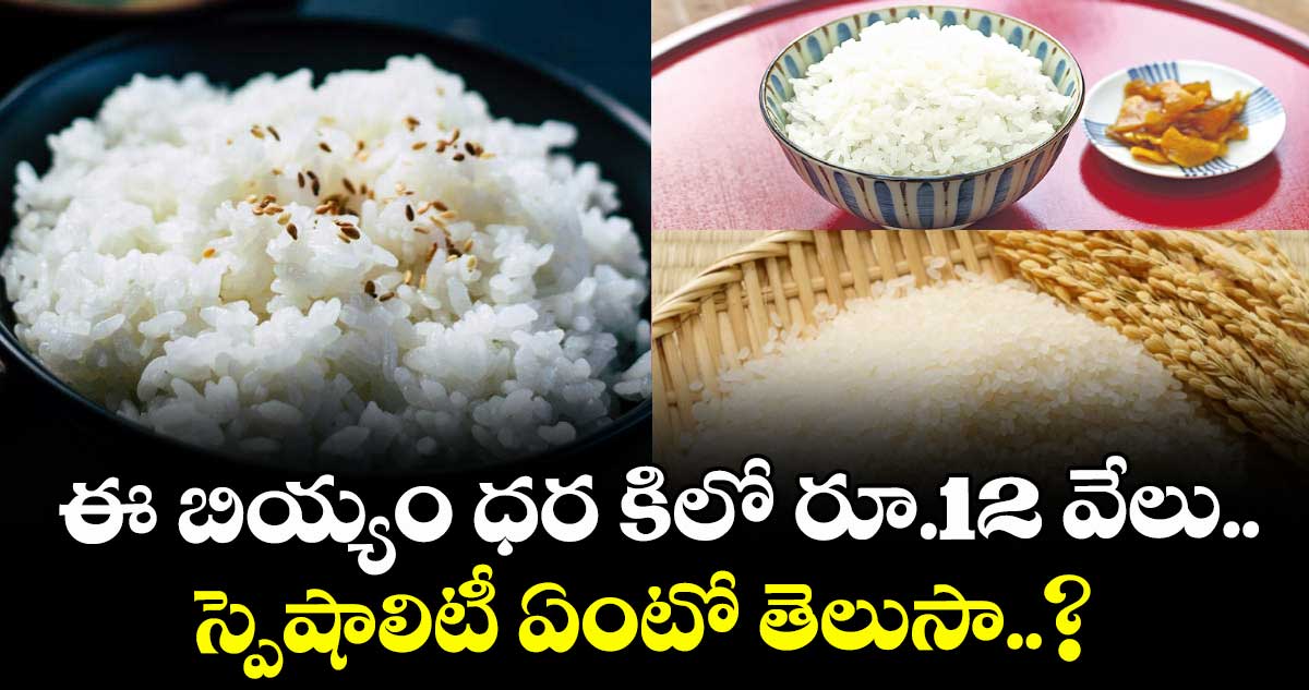 ఈ బియ్యం ధర కిలో రూ.12 వేలు.. స్పెషాలిటీ ఏంటో తెలుసా..?