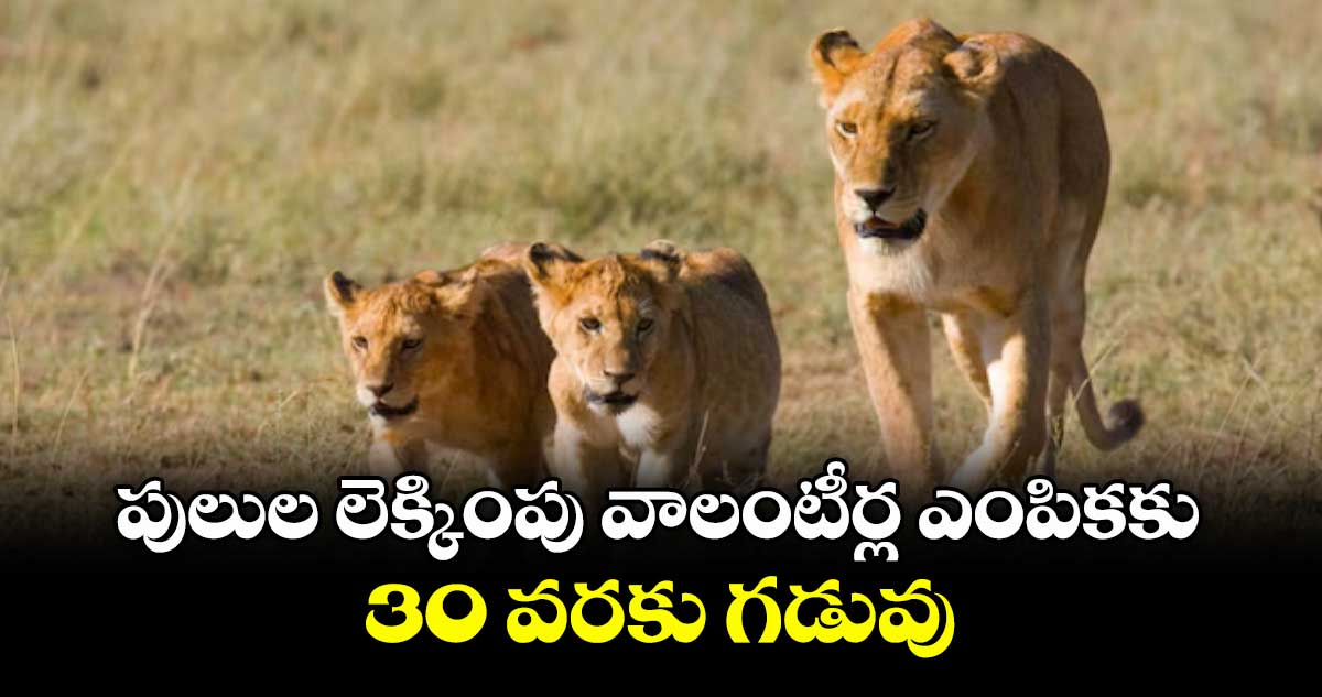 పులుల లెక్కింపు వాలంటీర్ల ఎంపికకు 30 వరకు గడువు :  ఈలూ సింగ్ మేరు 