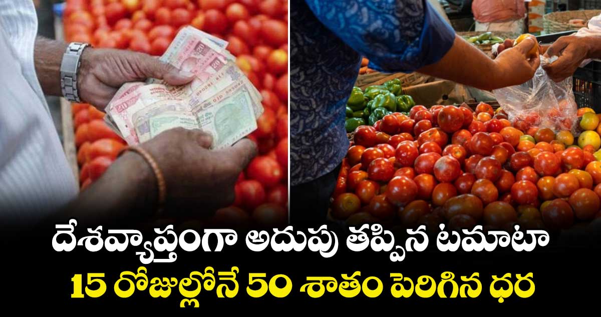 దేశవ్యాప్తంగా అదుపు తప్పిన టమాటా : 15 రోజుల్లోనే 50 శాతం పెరిగిన ధర..