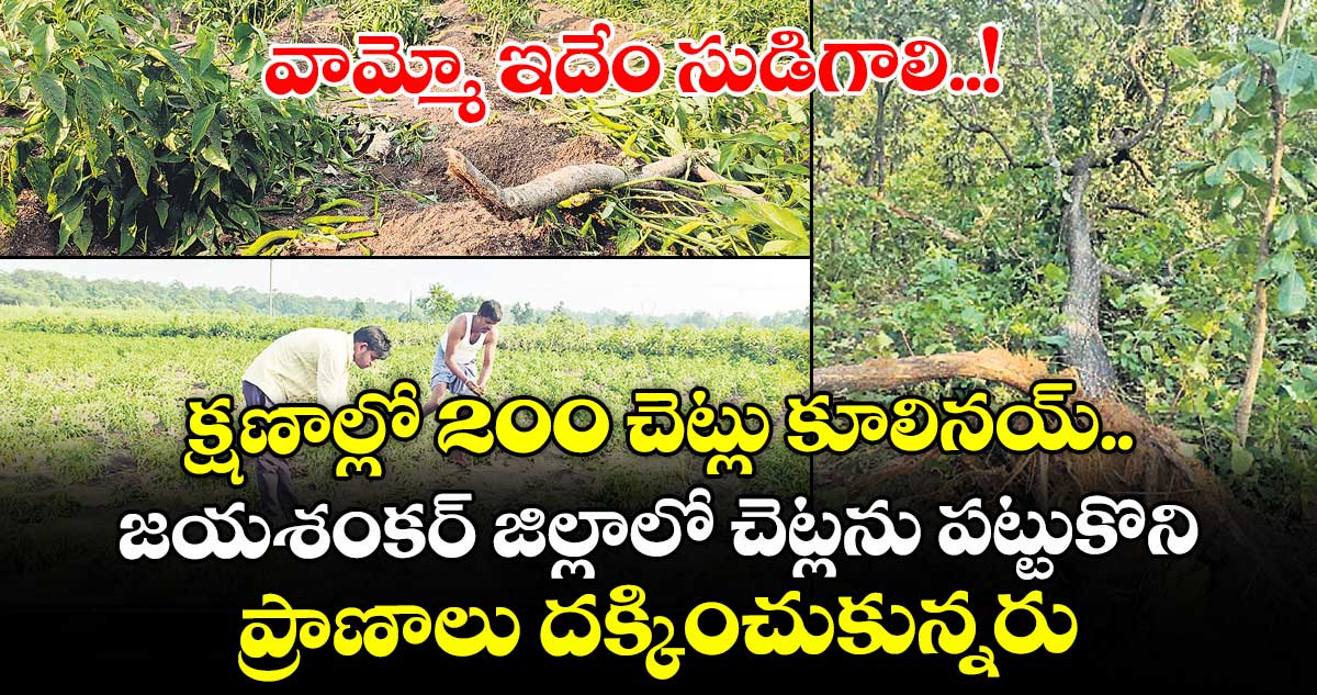 వామ్మో ఇదేం సుడిగాలి..!  క్షణాల్లో 200 చెట్లు కూలినయ్.. జయశంకర్ జిల్లాలో చెట్లను పట్టుకొని ప్రాణాలు దక్కించుకున్నరు