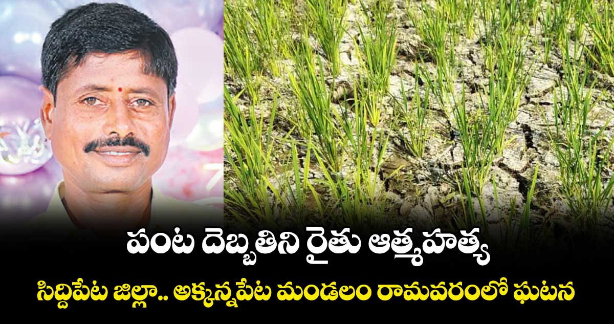 పంట దెబ్బతిని రైతు ఆత్మహత్య.. సిద్దిపేట జిల్లా అక్కన్నపేట మండలం రామవరంలో ఘటన