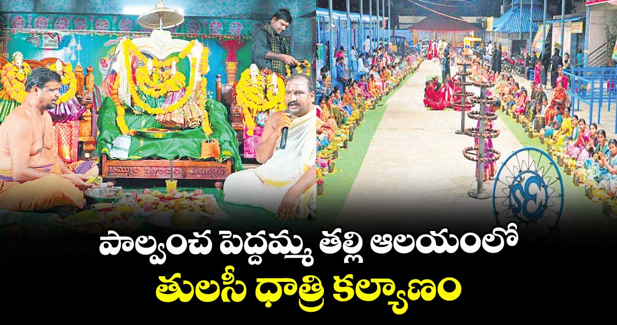 పాల్వంచ పెద్దమ్మ తల్లి ఆలయంలో తులసీ ధాత్రి కల్యాణం