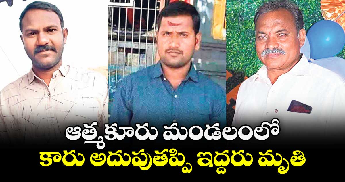 ఆత్మకూరు మండలంలో కారు అదుపుతప్పి ఇద్దరు మృతి