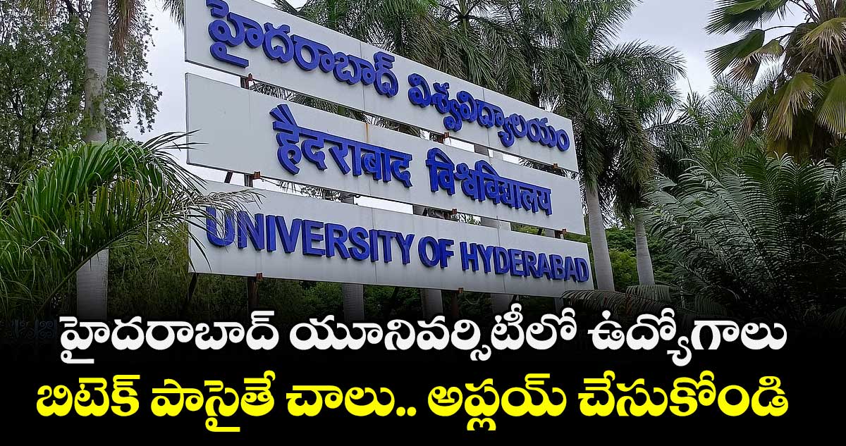 హైదరాబాద్ యూనివర్సిటీలో ఉద్యోగాలు..   బిటెక్ పాసైతే చాలు.. అప్లయ్ చేసుకోండి.. 