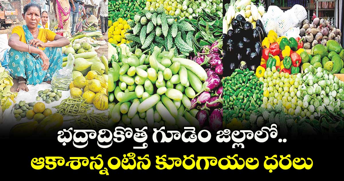 భద్రాద్రికొత్త గూడెం జిల్లాలో ఆకాశాన్నంటిన కూరగాయల ధరలు