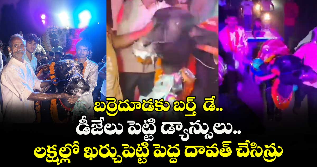 బర్రెదూడకు బర్త్  డే..డీజేలు పెట్టి డ్యాన్సులు.. లక్షల్లో ఖర్చుపెట్టి పెద్ద దావత్ చేసిన్రు